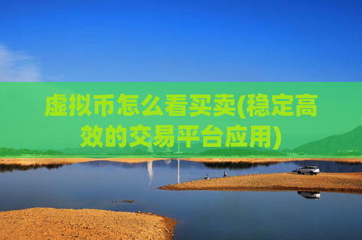 虚拟币怎么看买卖(稳定高效的交易平台应用)