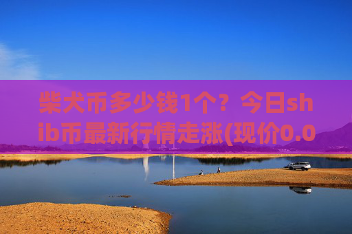 柴犬币多少钱1个?今日shib币最新行情走涨(现价0.00021702元)