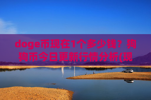 doge币现在1个多少钱？狗狗币今日更新行情分析(现价2.9899元)