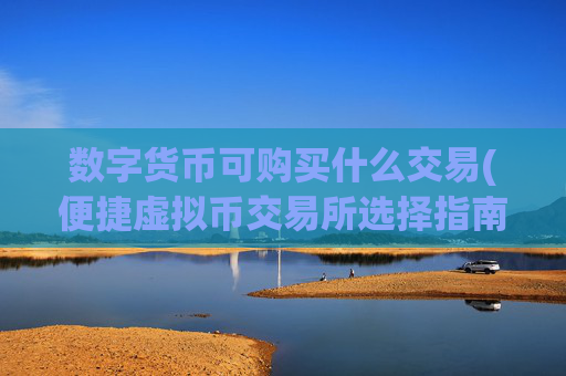 数字货币可购买什么交易(便捷虚拟币交易所选择指南)