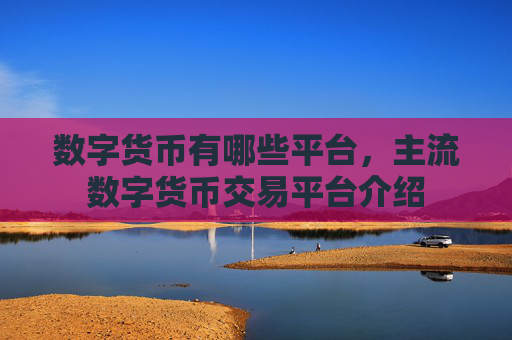 数字货币有哪些平台，主流数字货币交易平台介绍