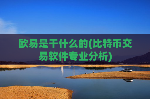 欧易是干什么的(比特币交易软件专业分析)