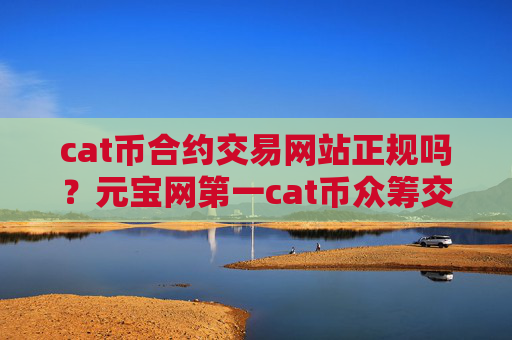 cat币合约交易网站正规吗？元宝网第一cat币众筹交易软件
