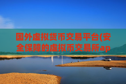国外虚拟货币交易平台(安全保障的虚拟币交易所app)