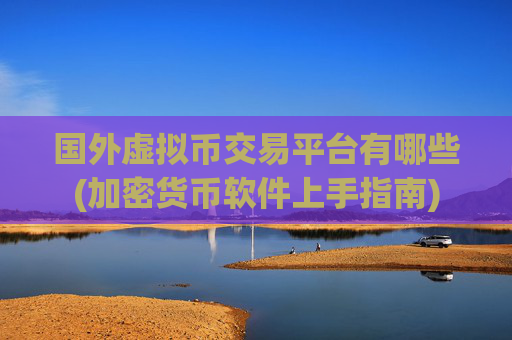 国外虚拟币交易平台有哪些(加密货币软件上手指南)