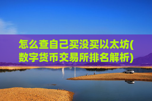 怎么查自己买没买以太坊(数字货币交易所排名解析)