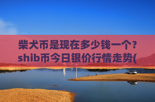 柴犬币是现在多少钱一个？shib币今日银价行情走势(现价0.00021724元)