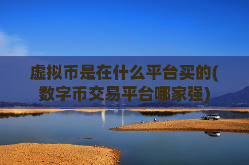 虚拟币是在什么平台买的(数字币交易平台哪家强)