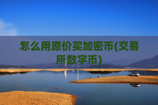 怎么用原价买加密币(交易所数字币)