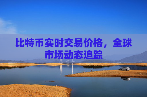 比特币实时交易价格，全球市场动态追踪