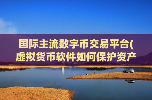 国际主流数字币交易平台(虚拟货币软件如何保护资产)