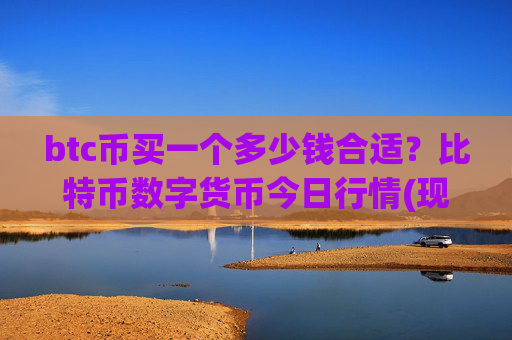 btc币买一个多少钱合适？比特币数字货币今日行情(现价699113.76元)