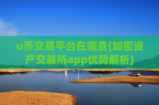 u币交易平台在哪查(加密资产交易所app优势解析)