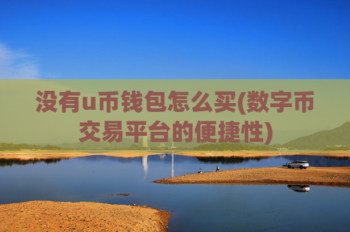 没有u币钱包怎么买(数字币交易平台的便捷性)
