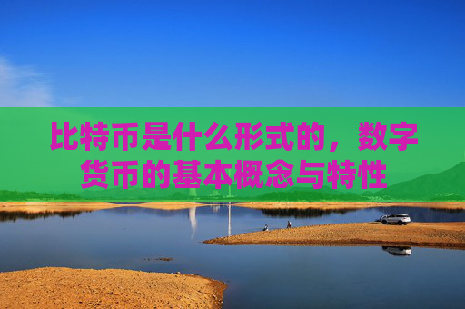 比特币是什么形式的，数字货币的基本概念与特性