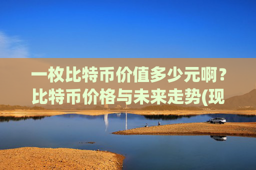 一枚比特币价值多少元啊？比特币价格与未来走势(现价701695.98元)