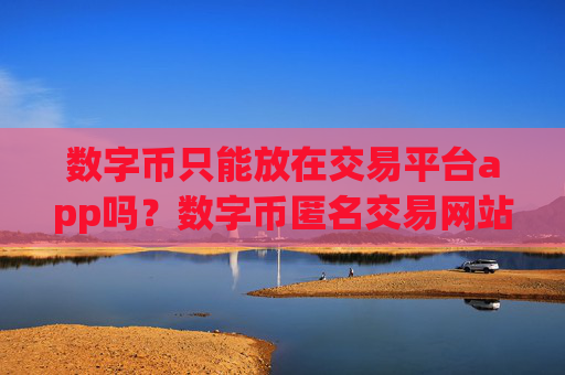 数字币只能放在交易平台app吗？数字币匿名交易网站