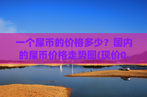一个屎币的价格多少？国内的屎币价格走势图(现价0.00021777元)