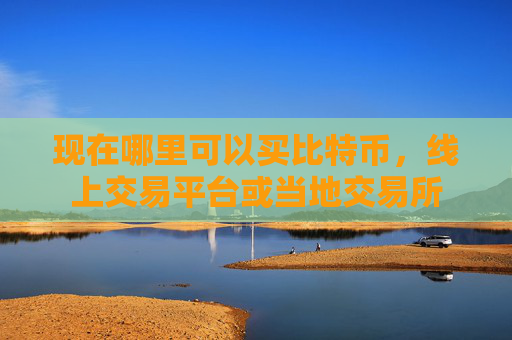 现在哪里可以买比特币，线上交易平台或当地交易所