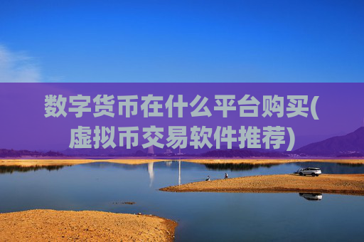 数字货币在什么平台购买(虚拟币交易软件推荐)