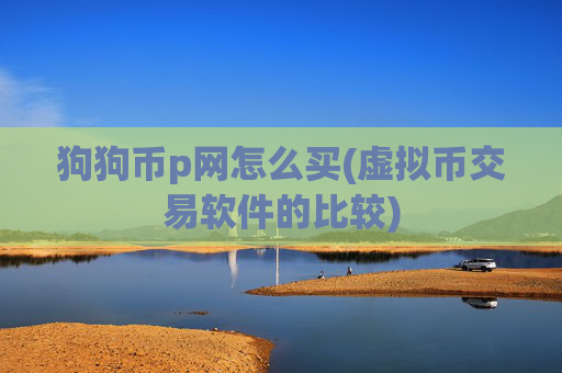 狗狗币p网怎么买(虚拟币交易软件的比较)
