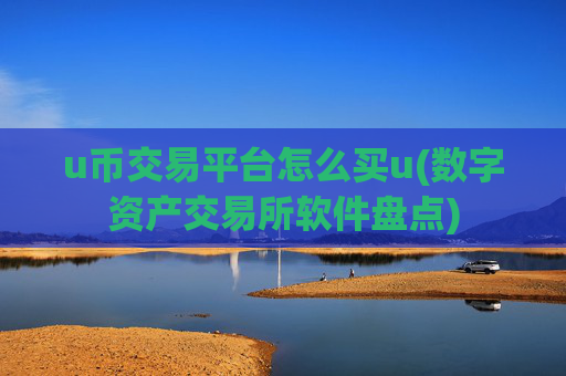 u币交易平台怎么买u(数字资产交易所软件盘点)