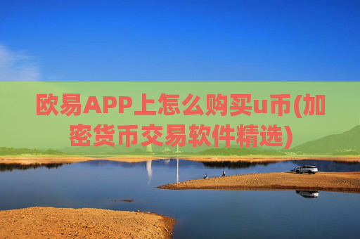 欧易APP上怎么购买u币(加密货币交易软件精选)