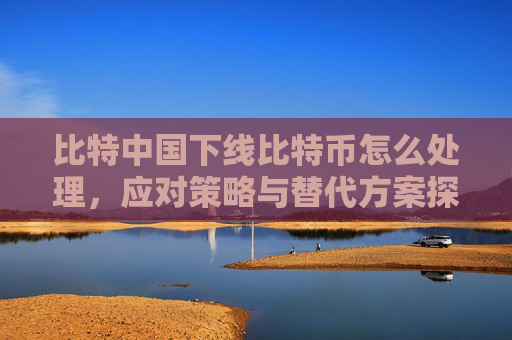 比特中国下线比特币怎么处理，应对策略与替代方案探讨