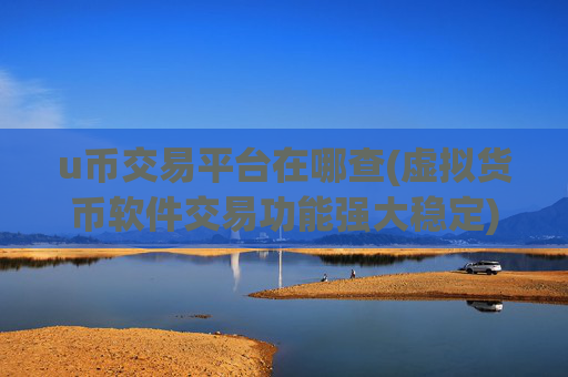 u币交易平台在哪查(虚拟货币软件交易功能强大稳定)