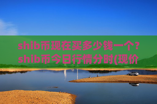 shib币现在买多少钱一个？shib币今日行情分时(现价0.00021637元)