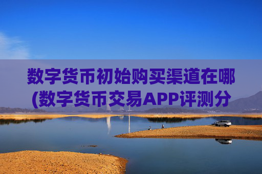 数字货币初始购买渠道在哪(数字货币交易APP评测分析)