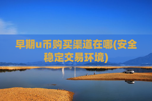 早期u币购买渠道在哪(安全稳定交易环境)