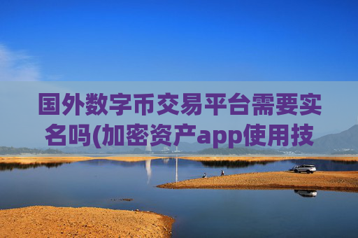 国外数字币交易平台需要实名吗(加密资产app使用技巧)