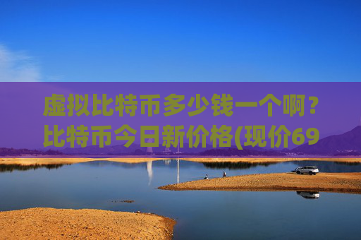 虚拟比特币多少钱一个啊？比特币今日新价格(现价698805.31元)