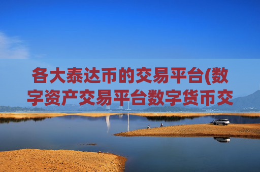 各大泰达币的交易平台(数字资产交易平台数字货币交易)