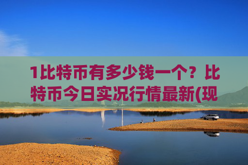 1比特币有多少钱一个？比特币今日实况行情最新(现价702850.19元)