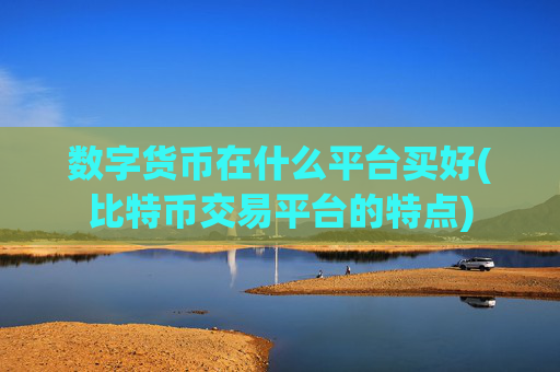 数字货币在什么平台买好(比特币交易平台的特点)