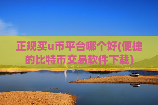 正规买u币平台哪个好(便捷的比特币交易软件下载)