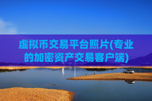 虚拟币交易平台照片(专业的加密资产交易客户端)