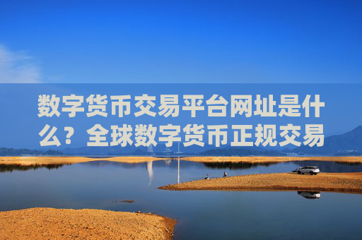 数字货币交易平台网址是什么？全球数字货币正规交易所