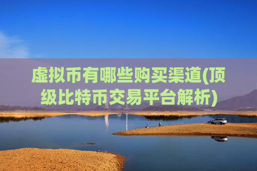 虚拟币有哪些购买渠道(顶级比特币交易平台解析)