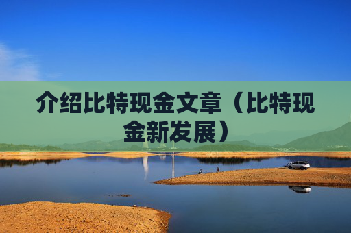 介绍比特现金文章（比特现金新发展）