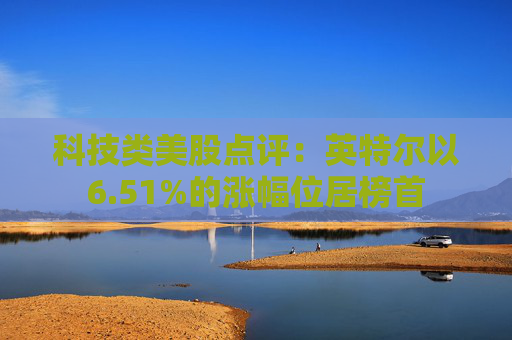 科技类美股点评：英特尔以6.51%的涨幅位居榜首