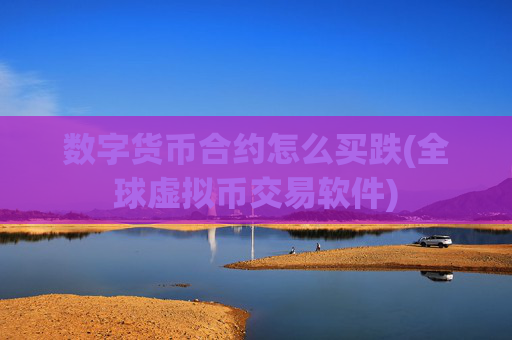 数字货币合约怎么买跌(全球虚拟币交易软件)