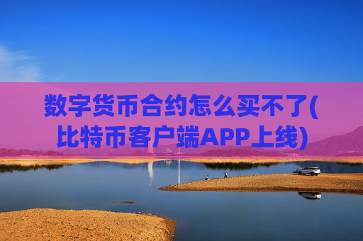 数字货币合约怎么买不了(比特币客户端APP上线)