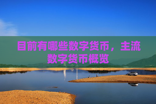 目前有哪些数字货币,主流数字货币概览