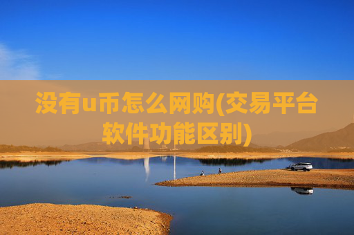 没有u币怎么网购(交易平台软件功能区别)