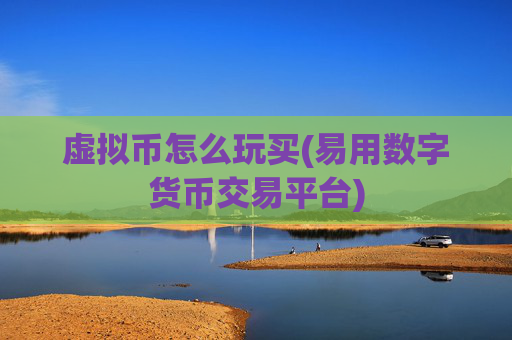 虚拟币怎么玩买(易用数字货币交易平台)