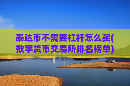 泰达币不需要杠杆怎么买(数字货币交易所排名榜单)
