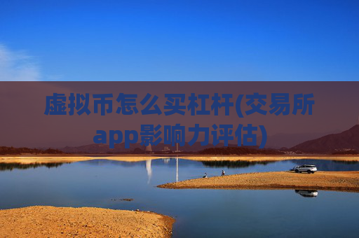 虚拟币怎么买杠杆(交易所app影响力评估)